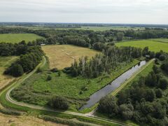 Demonstrationsfläche im Rhinluch (Foto: Stephan Zander).