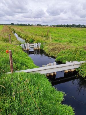 Graben mit gestauten Wasser