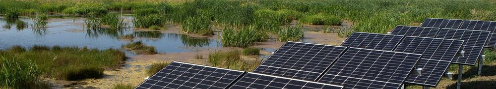 Photovoltaik auf Teichweide, Foto: Stephan Busse.