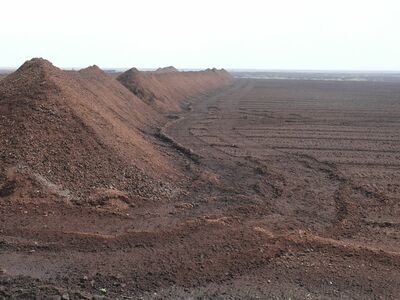 Frästorfabbau in der Esterweger Dose (Universität Greifswald)