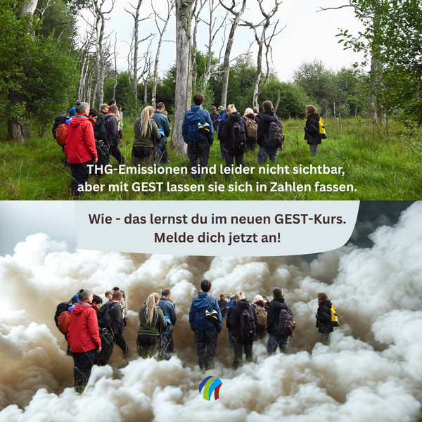 Bild oben: Exkursion im Moor (Credits: John Couwenberg): Bild unten: Exkursion im Moor (Credits: John Couwenberg) bearbeitet mit KI