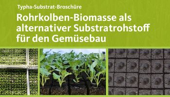 Typha-Substrat-Broschüre: Rohrkolben-Biomasse als  alternativer Substratrohstoff  für den Gemüsebau