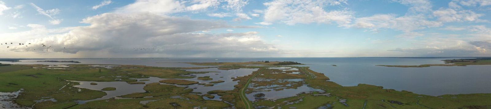 Luftaufnahme eines von viel Wasser durchzogenen Küstengebiets.