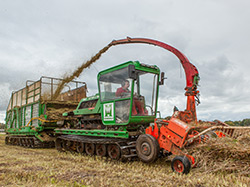 Spezialtechnik für Biomasseernte auf nassen Mooren (Hanze Wetlands)