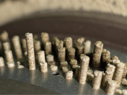 Matrize einer Pelletieranlage