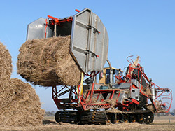 Spezialtechnik für die Dachschilfernte