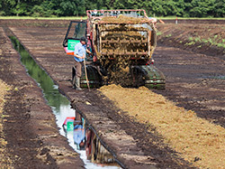 Ausbringung von Torfmoosfragmenten mit einer Pistenraupe
